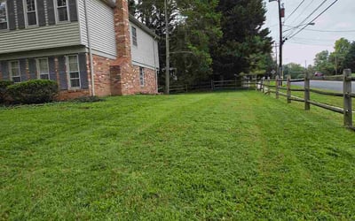 Photo of Olayinka A.'s yard after getting lawn care in Glen Burnie, MD