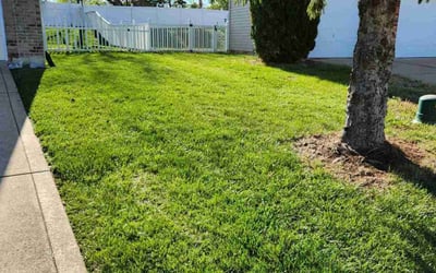 Photo of erika c.'s yard after getting lawn care in House Springs, MO
