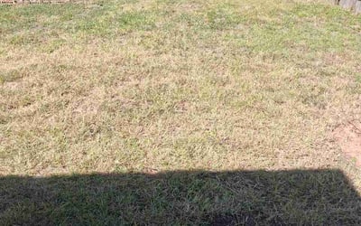 Photo of Sarah S.'s yard after getting lawn care in New Castle, DE