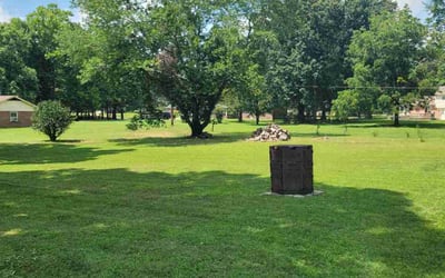Photo of James R.'s yard after getting lawn care in Naperville, IL