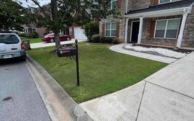 Photo of Dan M.'s yard after getting lawn care in Ringgold, GA