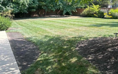 Photo of Tamara C.'s yard after getting lawn care in Worthington, OH