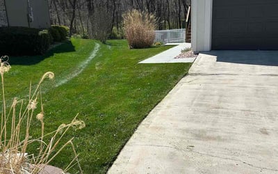 Photo of Michelle B.'s yard after getting lawn care in Kansas City, MO