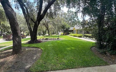 Photo of Jennifer M.'s yard after getting lawn care in Summerfield, FL