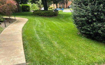 Photo of Emalie C.'s yard after getting lawn care in McLean, VA