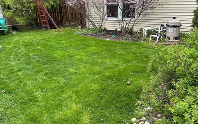 Photo of Shyceka A.'s yard after getting lawn care in Palisades Park, NJ