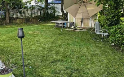 Photo of Dreama C.'s yard after getting lawn care in Brooklyn, NY