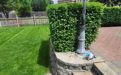 Photo of Demaris D.'s yard after getting lawn care in Darien, IL