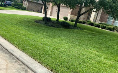 Photo of Nolan M.'s yard after getting lawn care in Tomball, TX