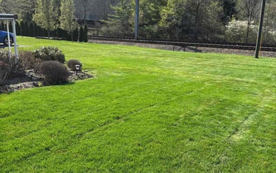 Photo of Char s.'s yard after getting lawn care in Bethel Park, PA