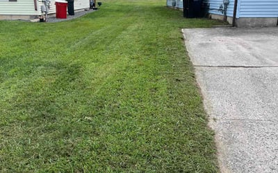 Photo of Alison P.'s yard after getting lawn care in Mount Laurel, NJ
