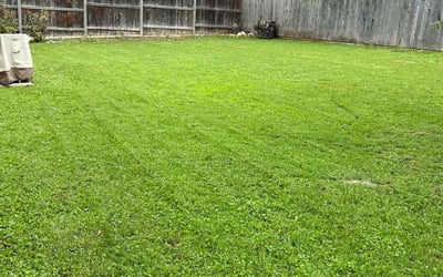 Photo of Justin M.'s yard after getting lawn care in Vancouver, WA