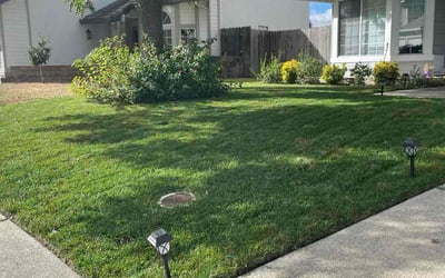 Photo of Giselly S.'s yard after getting lawn care in Stamford, CT