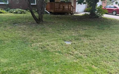 Photo of Candice N.'s yard after getting lawn care in Jacksonville, FL