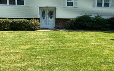 Photo of Sandra B.'s yard after getting lawn care in Bordentown, NJ