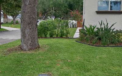 Photo of Harland H.'s yard after getting lawn care in Passaic, NJ