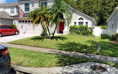 Photo of Julie L.'s yard after getting lawn care in Maitland, FL