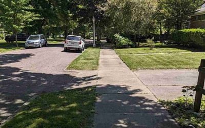 Photo of Ray W.'s yard after getting lawn care in Delhi, MI