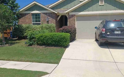 Photo of Allen A.'s yard after getting lawn care in Lakeway, TX