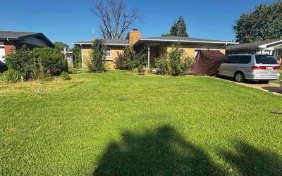 Photo of David S.'s yard after getting lawn care in Castle Rock, CO