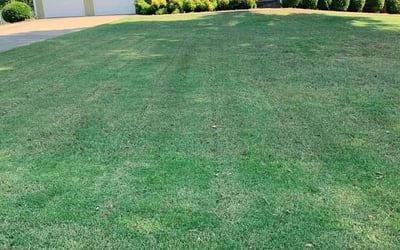 Photo of Bobbie C.'s yard after getting lawn care in Huntsville, AL
