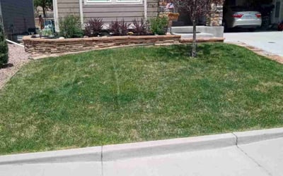 Photo of Gregg F.'s yard after getting lawn care in Monument, CO