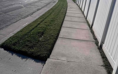 Photo of Angela G.'s yard after getting lawn care in Roy, UT