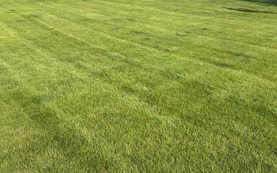 Photo of Zackery M.'s yard after getting lawn care in New Kensington, PA