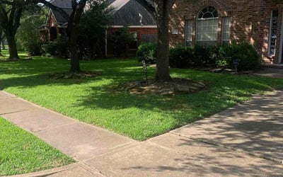 Photo of Lana F.'s yard after getting lawn care in Houston, TX