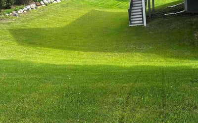 Photo of Barb P.'s yard after getting lawn care in Eden Prairie, MN
