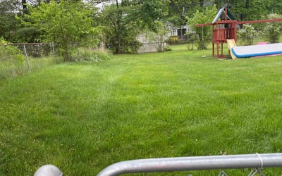 Photo of Obiwu I.'s yard after getting lawn care in Xenia, OH