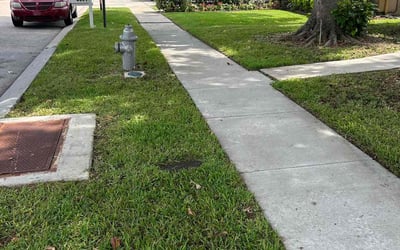 Photo of Chris W.'s yard after getting lawn care in North Las Vegas, NV
