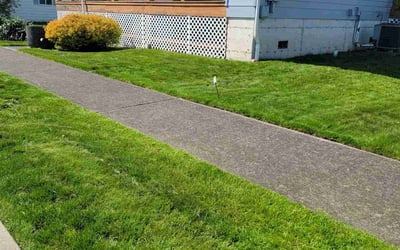 Photo of Mark H.'s yard after getting lawn care in Buckley, WA