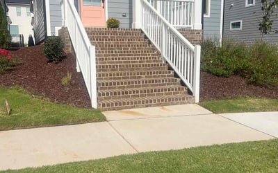 Photo of James H.'s yard after getting lawn care in Pittsboro, NC