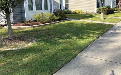 Photo of Nikki F.'s yard after getting lawn care in Charleston, SC