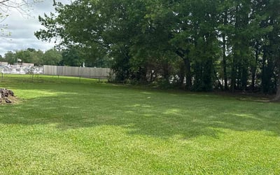 Photo of Pris B.'s yard after getting lawn care in Crowley, LA