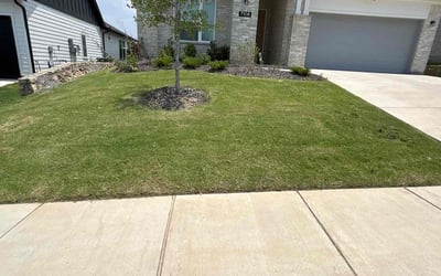 Photo of Angela G.'s yard after getting lawn care in Muskegon, MI