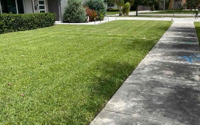 Photo of Robert H.'s yard after getting lawn care in Tonawanda, NY