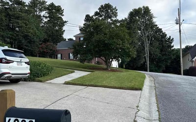 Photo of Sergio V.'s yard after getting lawn care in Syracuse, UT