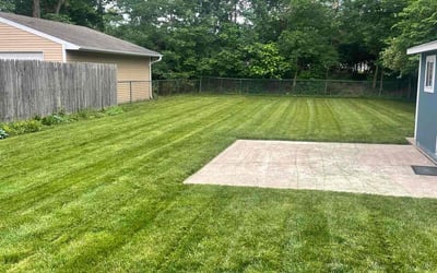 Photo of Jay J.'s yard after getting tree care in Springboro, OH