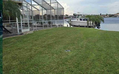 Photo of Rodney A.'s yard after getting lawn care in Atlanta, GA