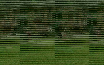 Photo of Robert S.'s yard after getting lawn care in Scarborough, ME