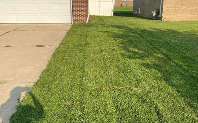 Photo of Anne G.'s yard after getting lawn care in Homestead, PA