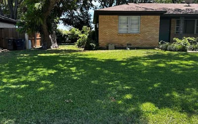 Photo of Athena S.'s yard after getting lawn care in Franklin, MA