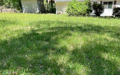 Photo of David W.'s yard after getting lawn care in Decatur, IL