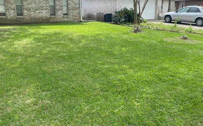 Photo of Reuben N.'s yard after getting lawn care in Andover, MN