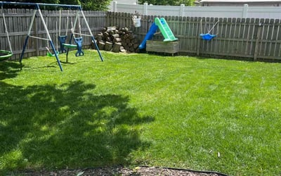 Photo of Seth P.'s yard after getting lawn care in Blacklick, OH