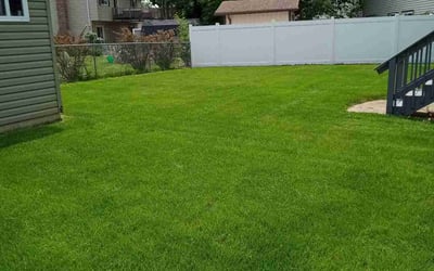 Photo of Tapiwa M.'s yard after getting lawn care in Woodridge, IL