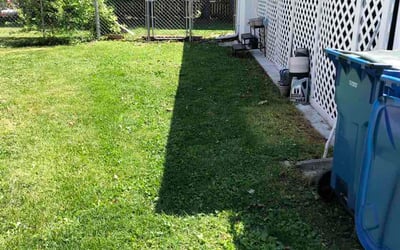 Photo of Sofia H.'s yard after getting lawn care in College Park, MD