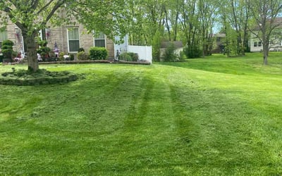 Photo of Abidah C.'s yard after getting lawn care in Crete, IL